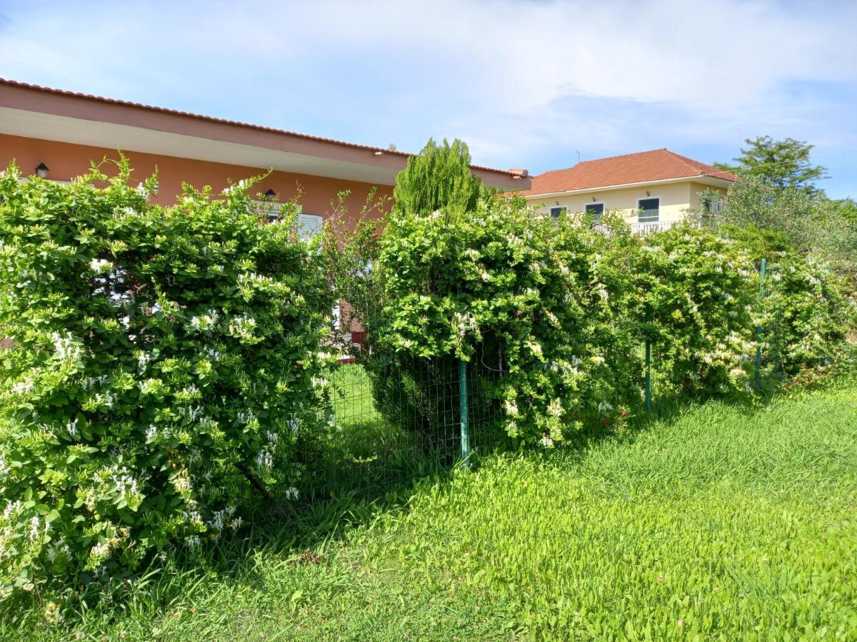 Kostas Apartments Сідарі Екстер'єр фото